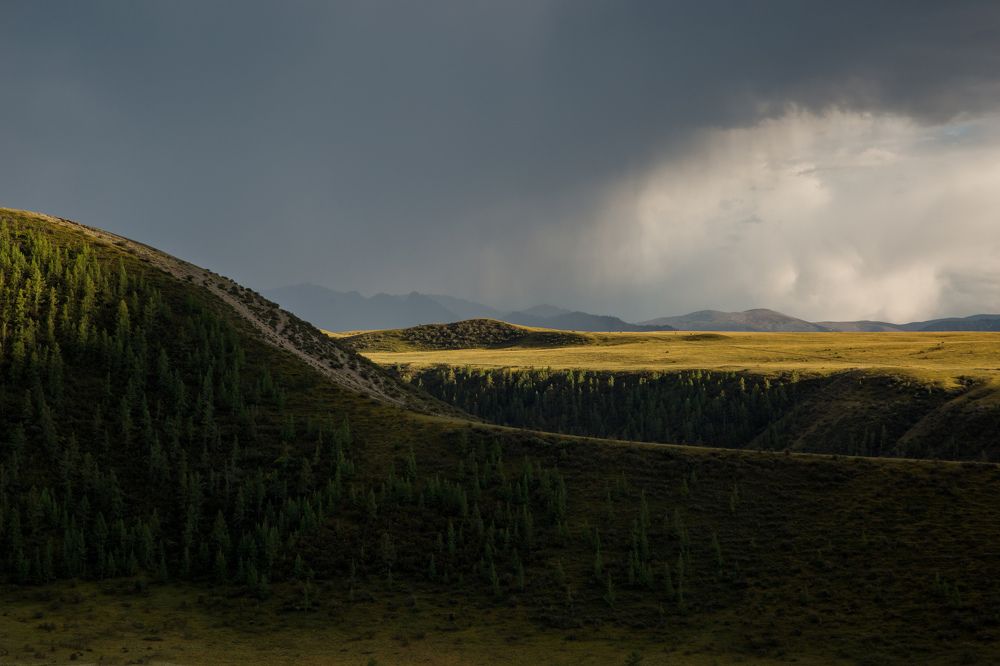 Photograph by Евгения Булычёва