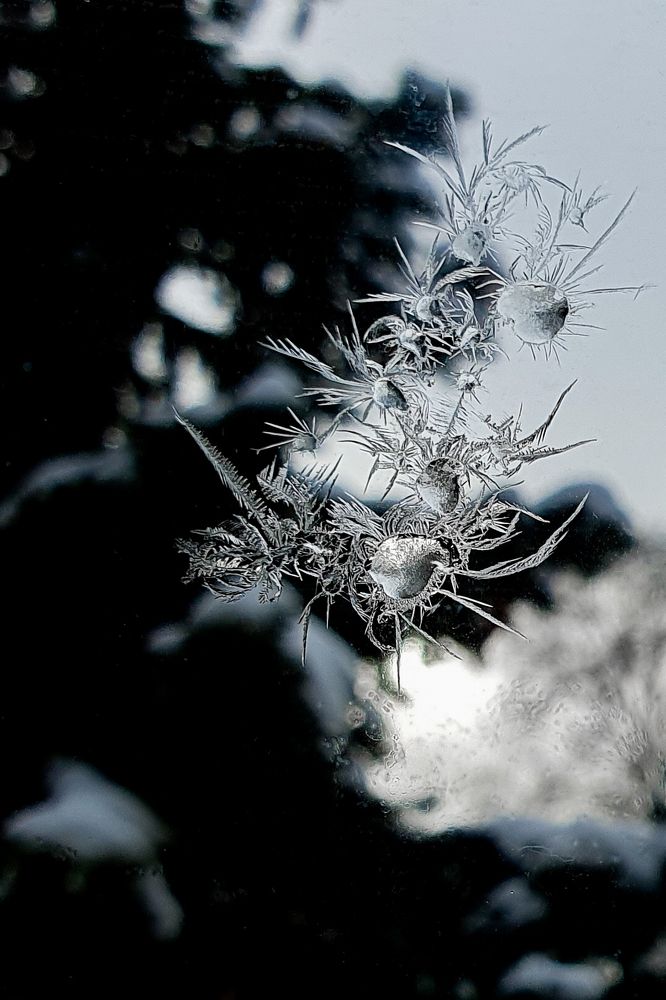 Photograph by Айгуль Кубиева