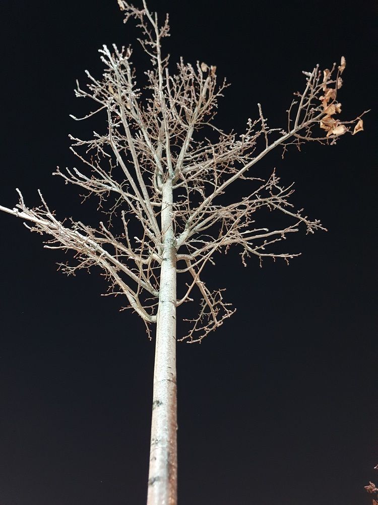 Photograph by Айгуль Кубиева