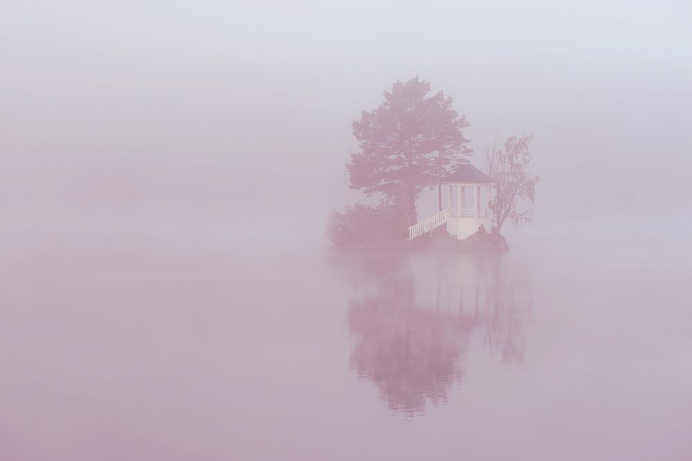 Фотография автора Сафонова Людмила