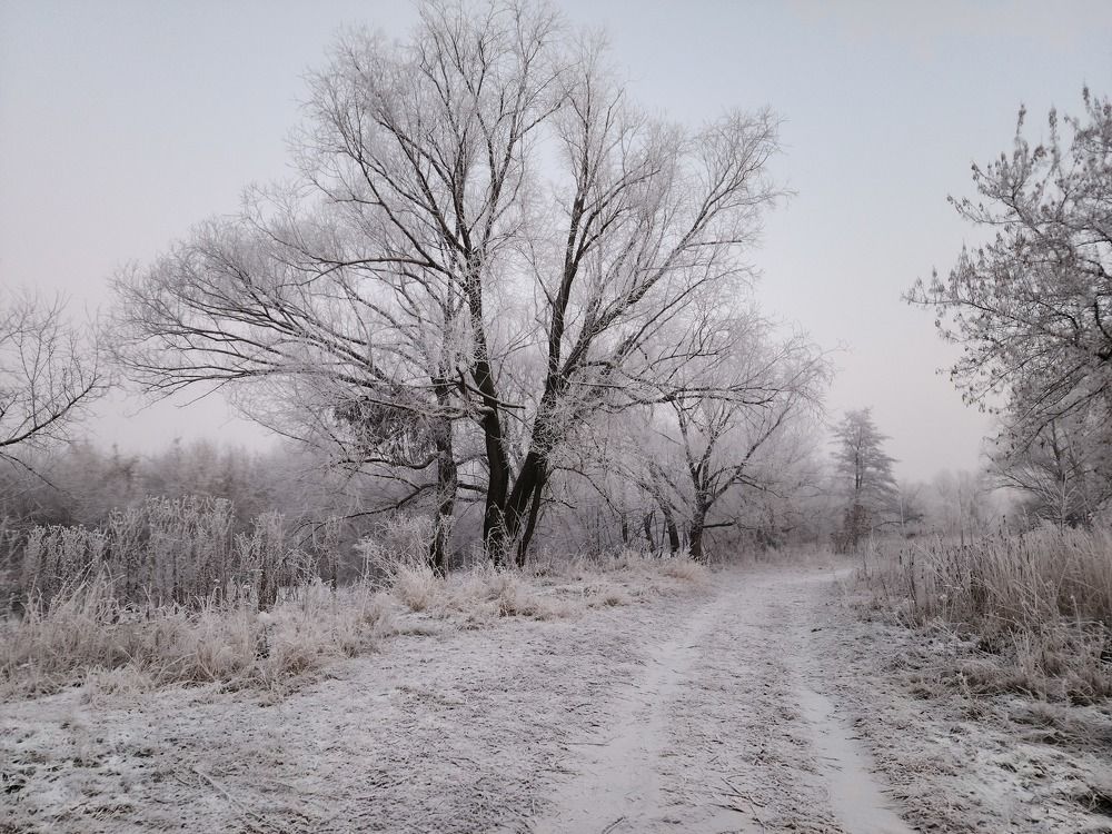 Photograph by mikhail goryachev