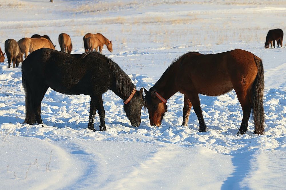 Photograph by Максим Фролов
