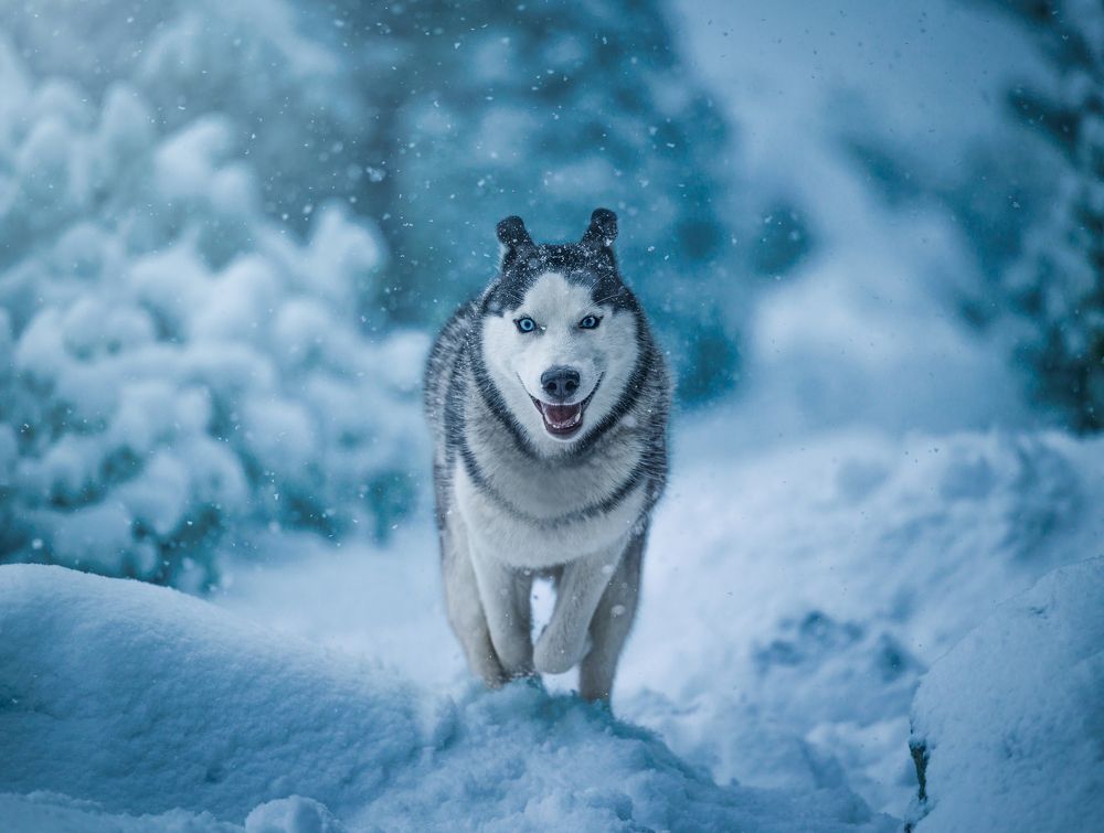 Photograph by Michał Maciak