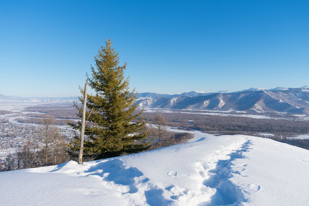 Photograph by Юлия Боровкова