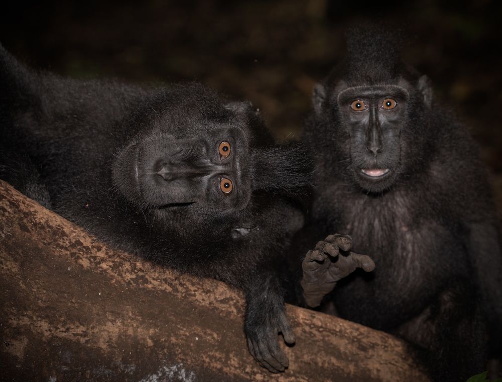 Photograph by Владимир Цветов