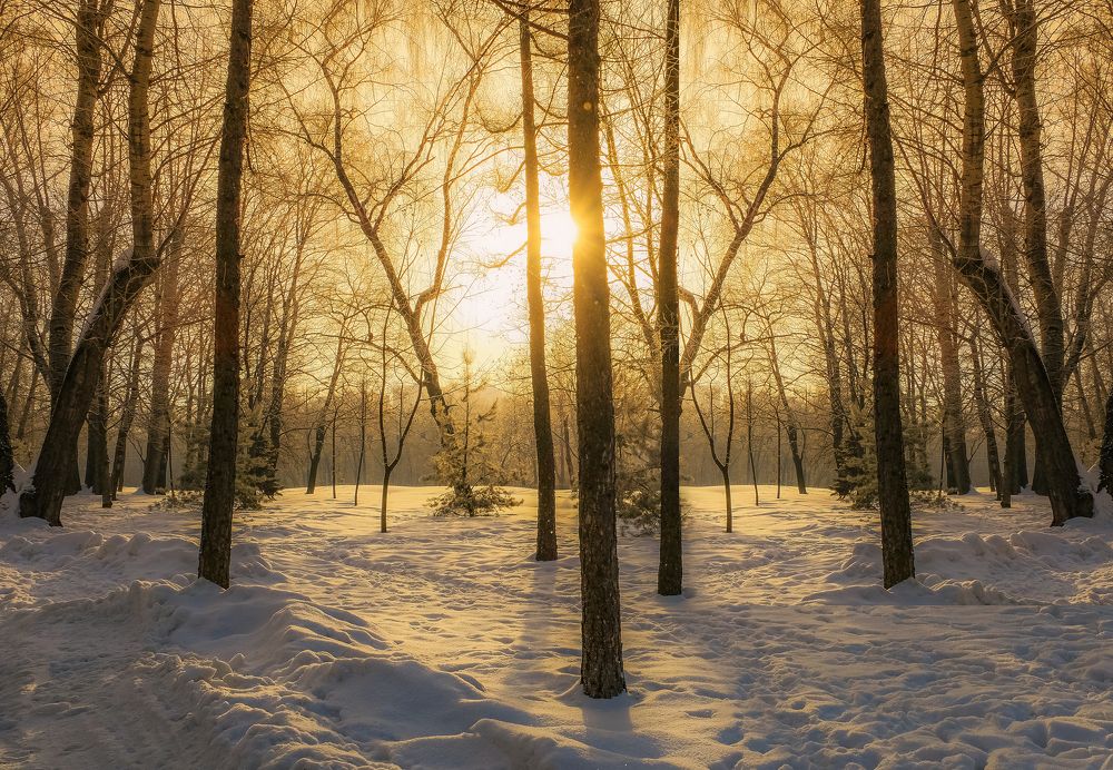 Photograph by Екатерина