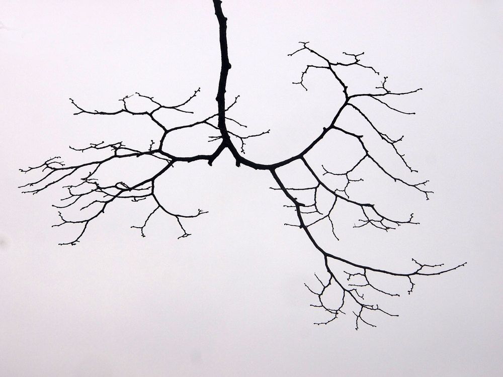 Photograph by Farid Ataei