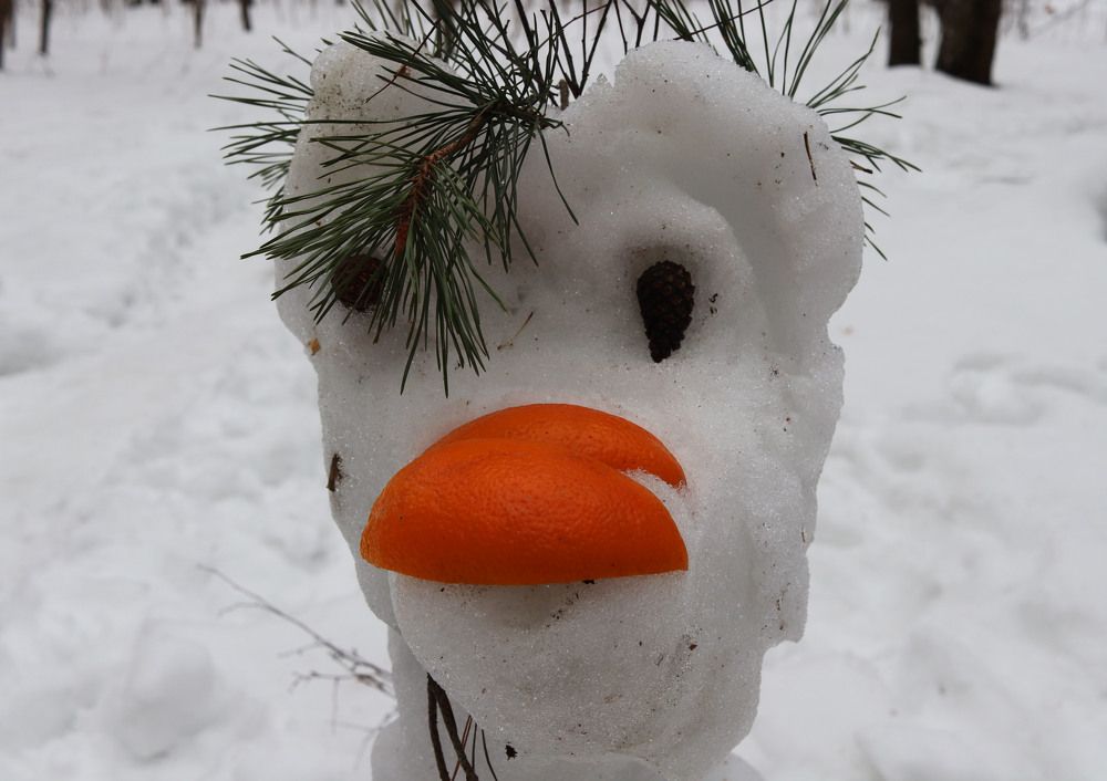 Photograph by владимир Заворотный