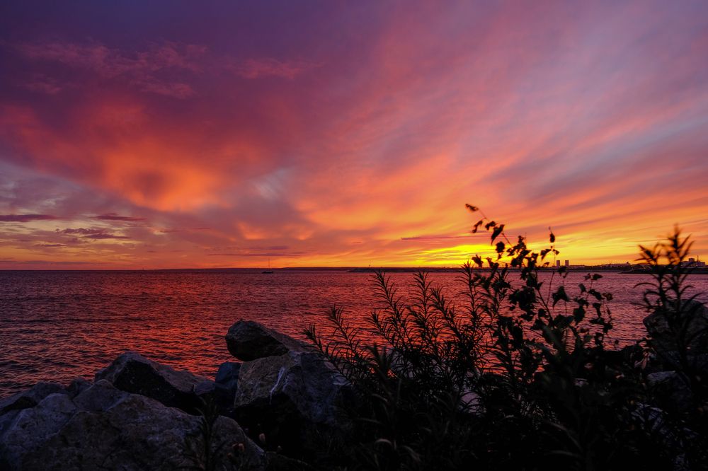 Photograph by Ольга Тюрина