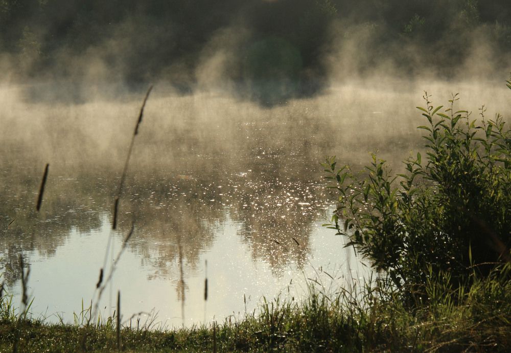 Photograph by владимир Заворотный