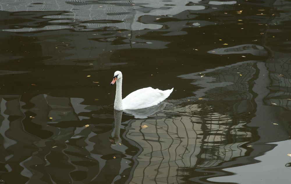 Photograph by владимир Заворотный