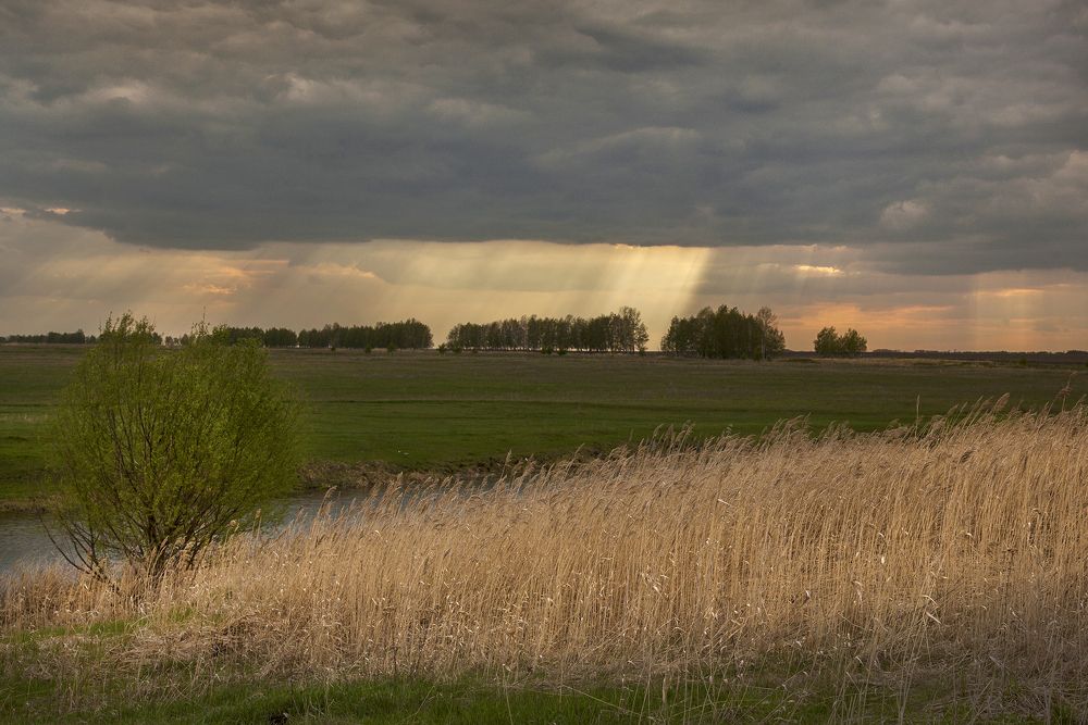 Photograph by Тамара Андреева