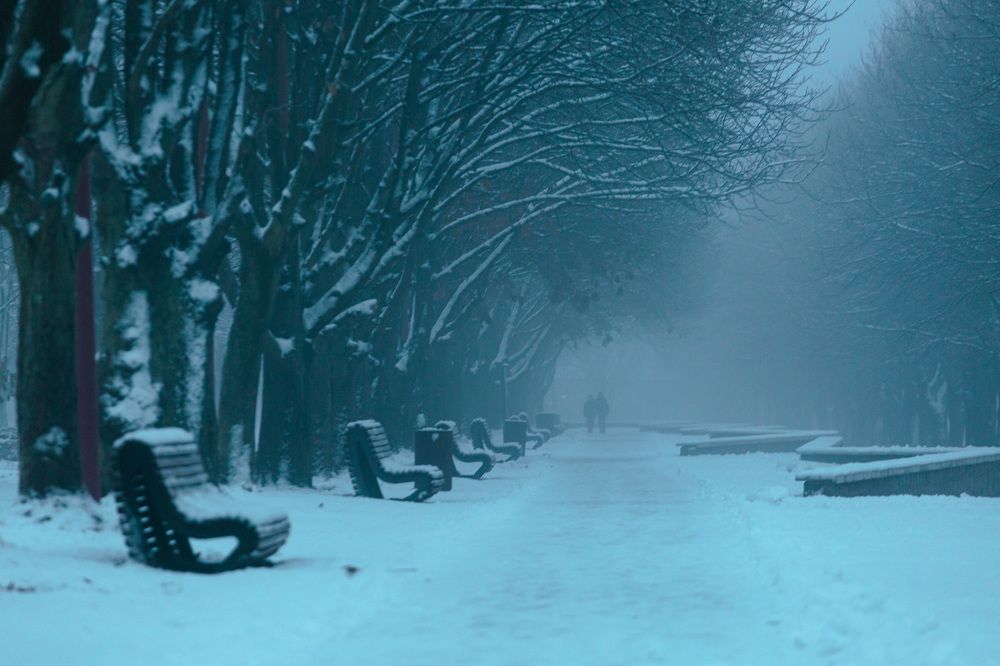 Photograph by Дмитрий Грошиков