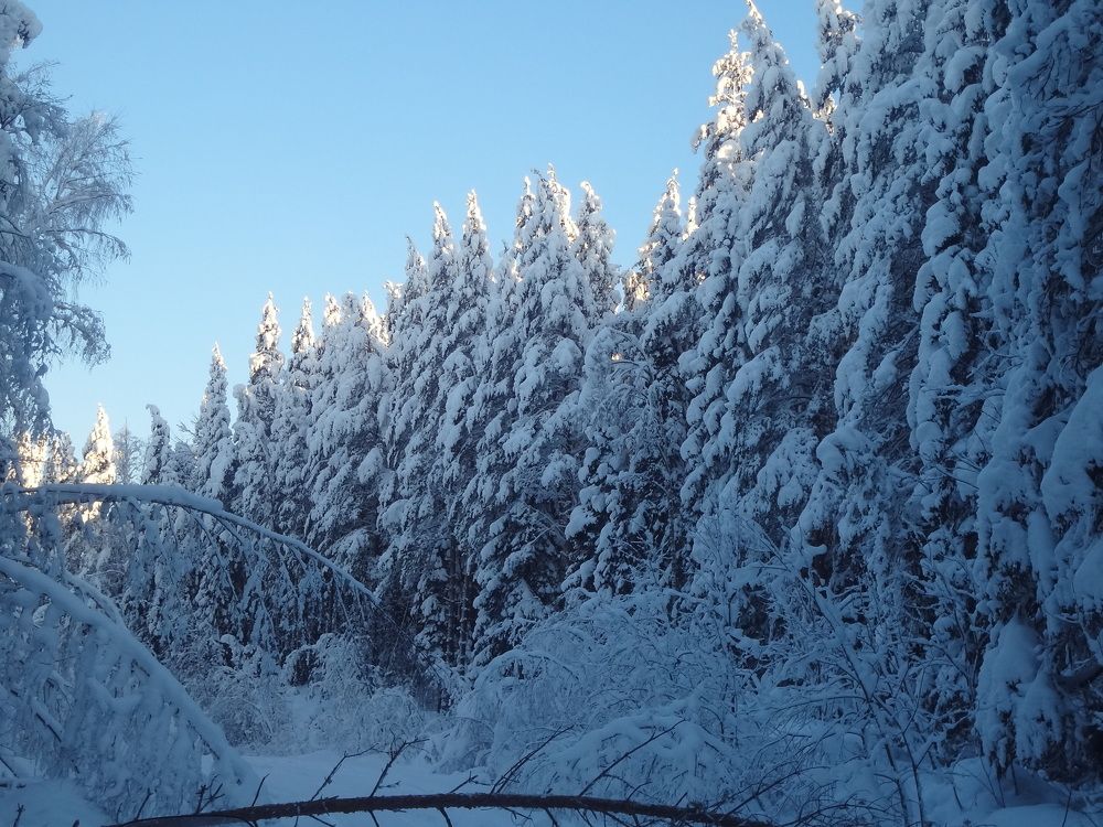 Photo #8477953