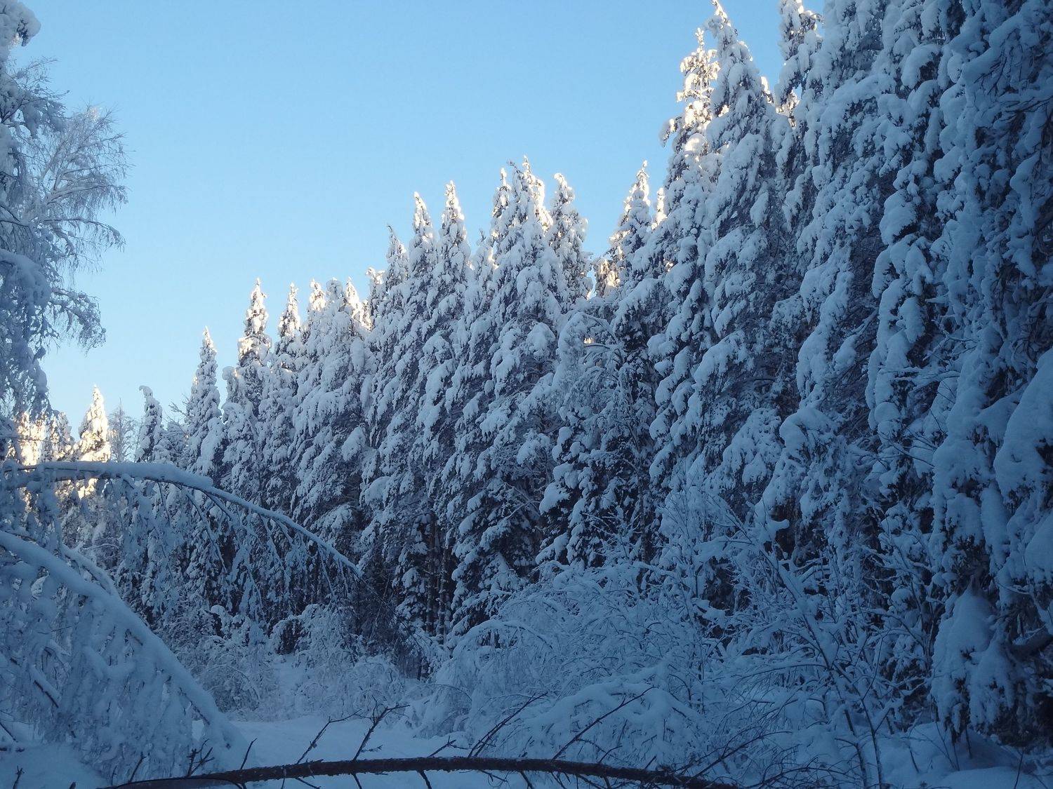 Photo #8477953