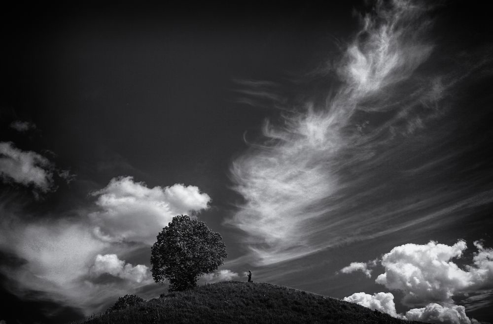 Photograph by Тамара Андреева