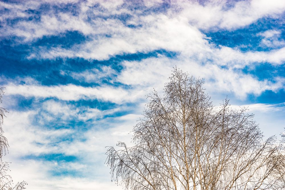 Photograph by Артём Александрович