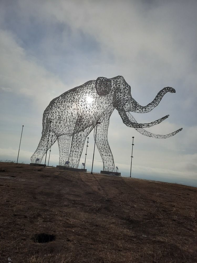 Photograph by Елена