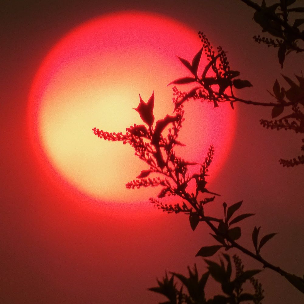 Photograph by Ирина Владимировна