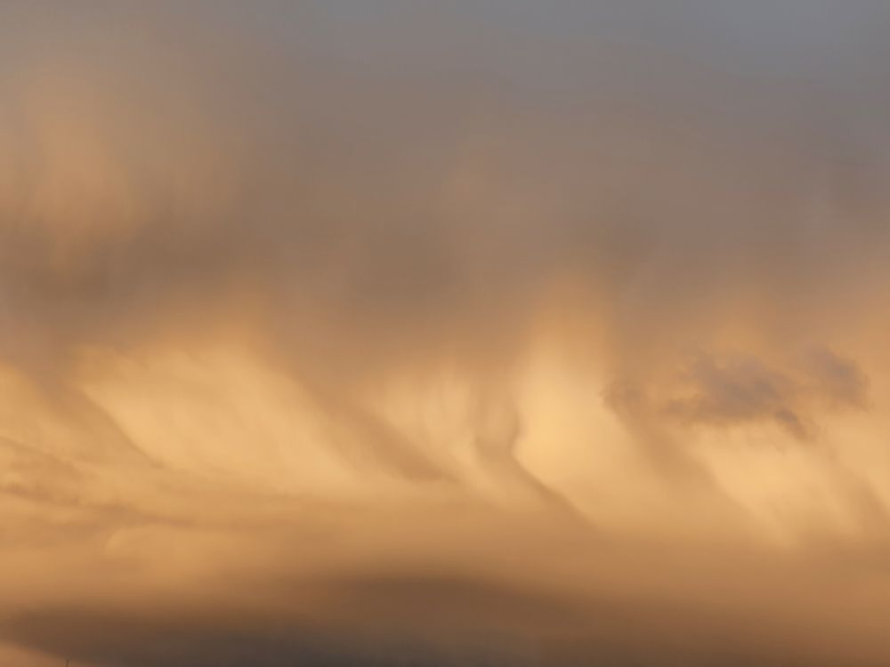 Photograph by Айгуль Кубиева