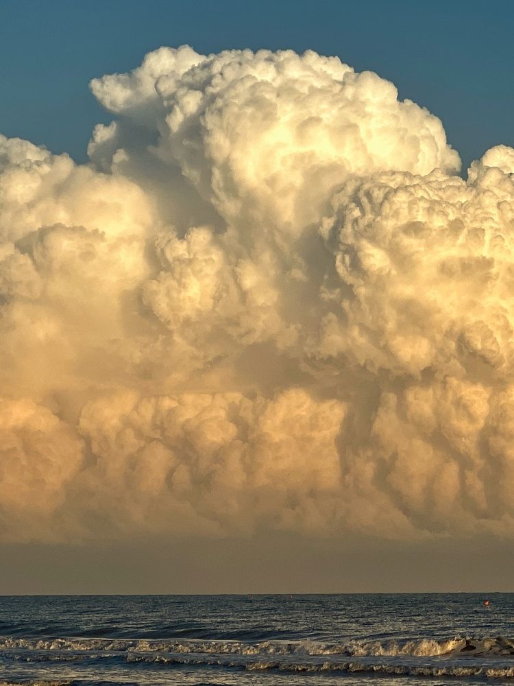 Photograph by Alexander Siemens