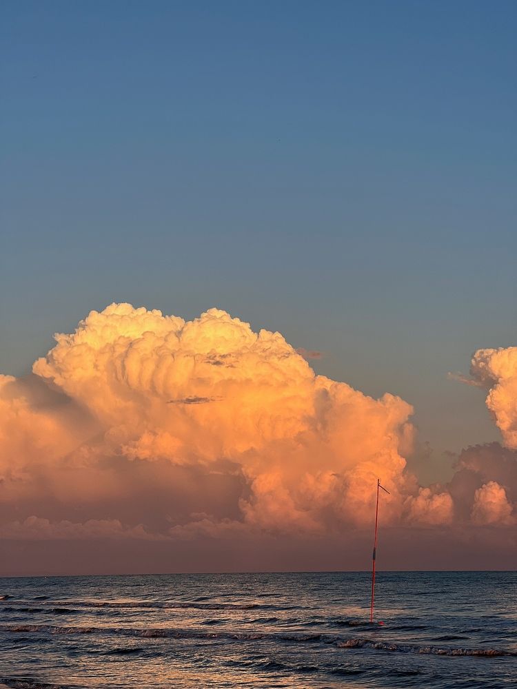 Photograph by Alexander Siemens