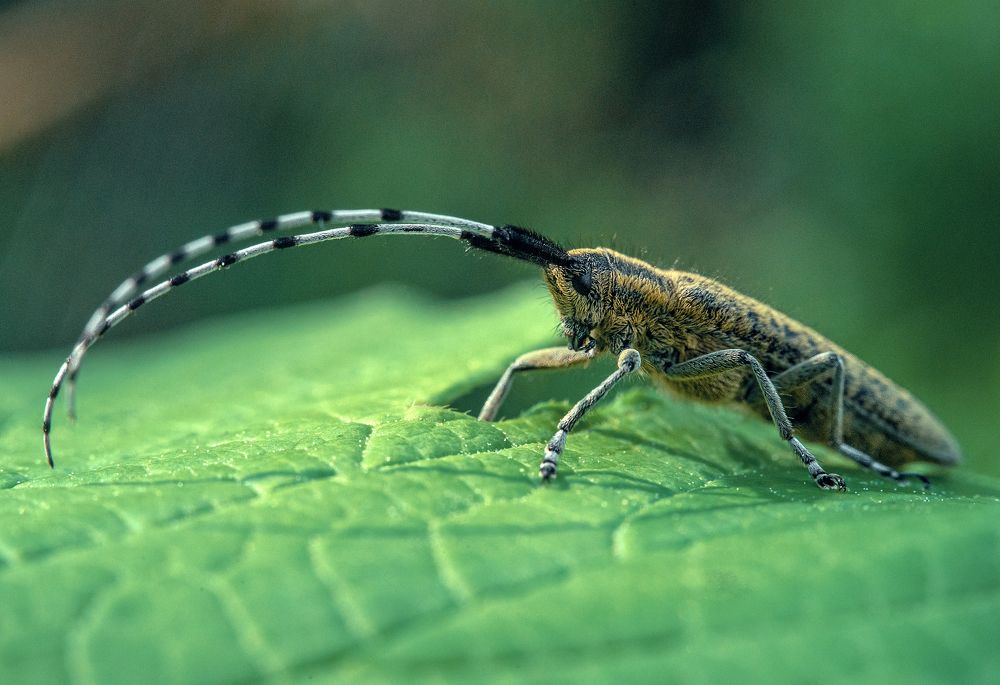 Photograph by Рут Андрей