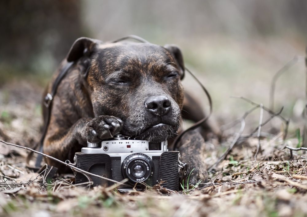 Photograph by Марина Суздаль