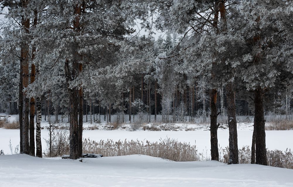 Photograph by Rimma Larkina