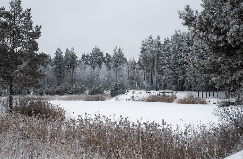 Photograph by Rimma Larkina