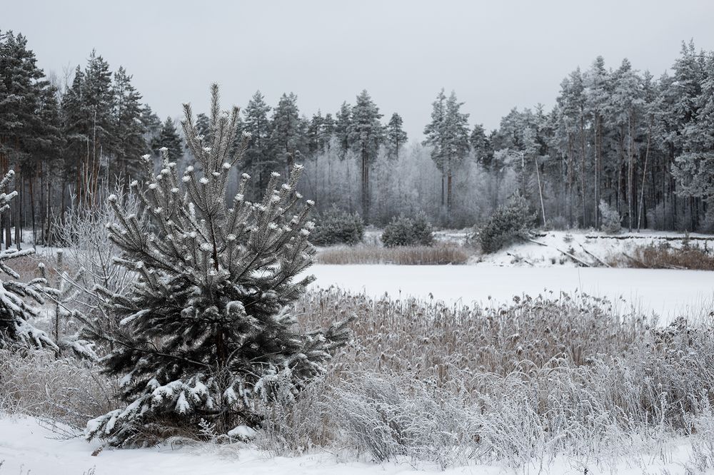 Photograph by Rimma Larkina