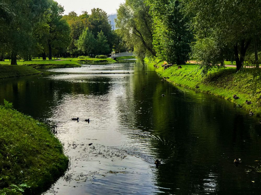 Photograph by Елена Сиушова