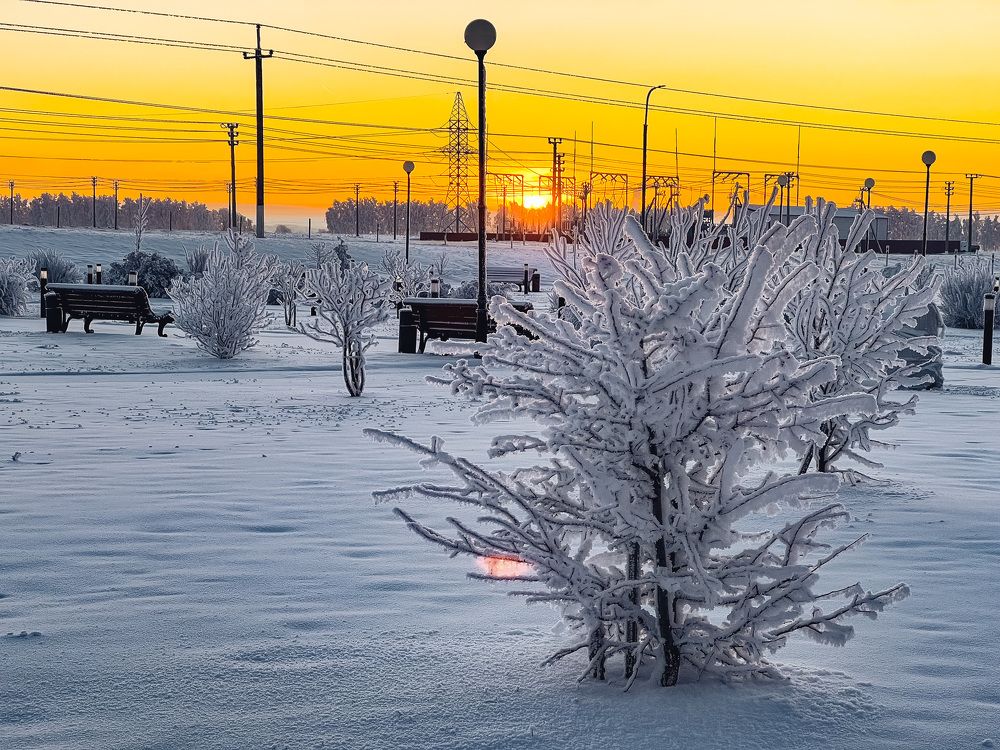 Photograph by Елена Сиушова