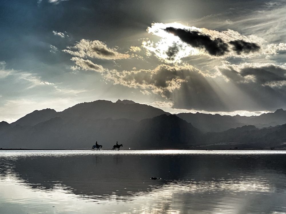 Photograph by Evgenia Barinova