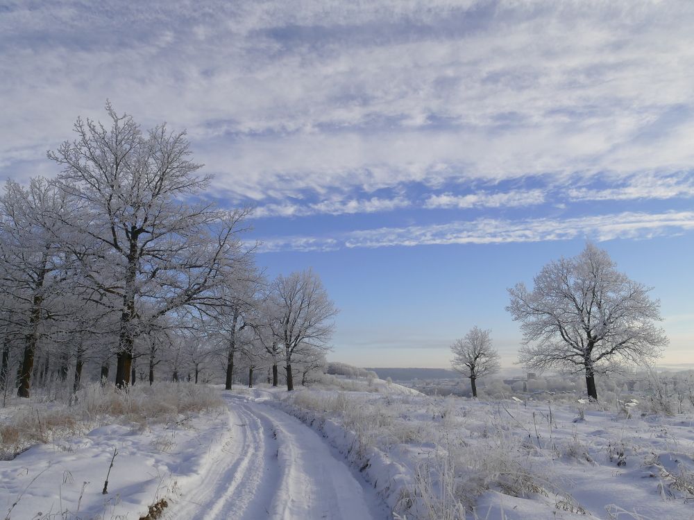 Photograph by Александр Кизим