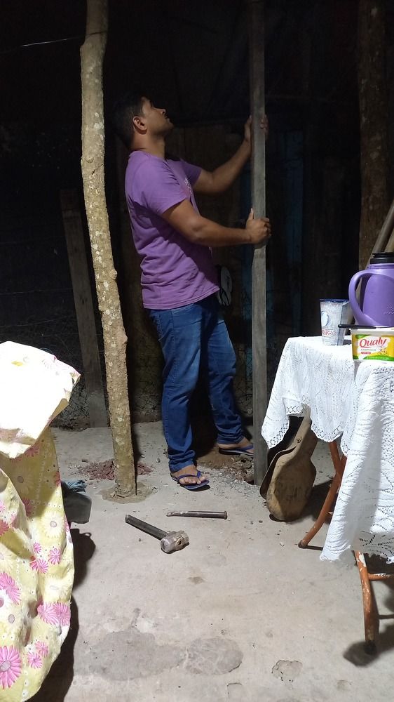 Photo #8478234