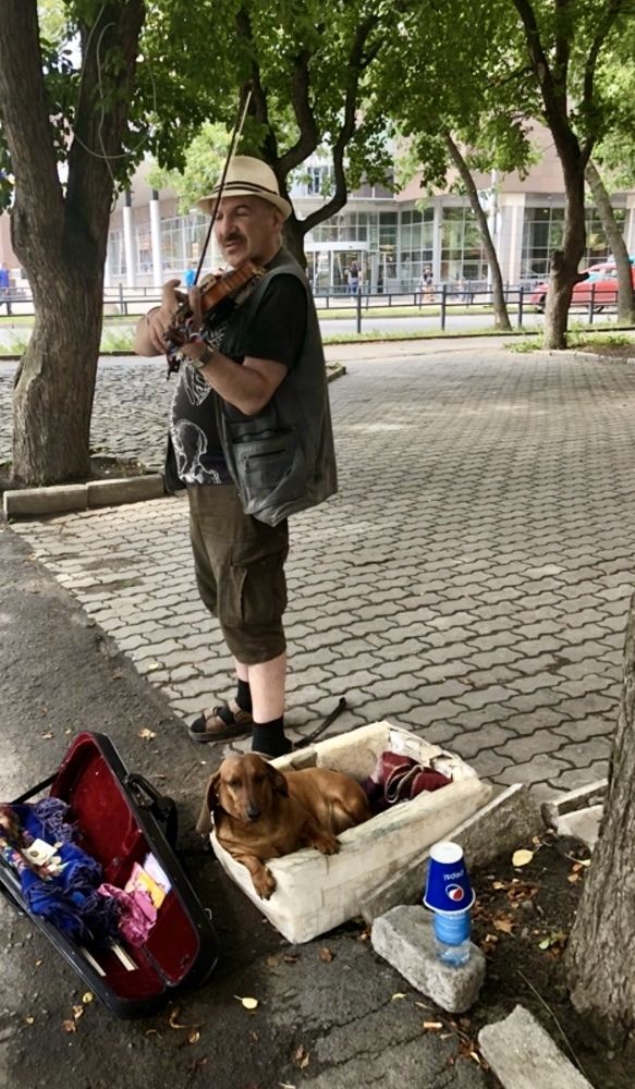 Photograph by Александра Акси