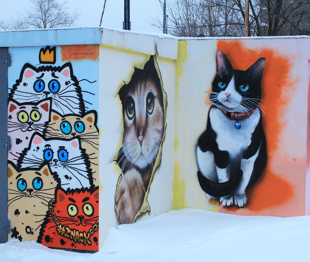 Photograph by владимир Заворотный