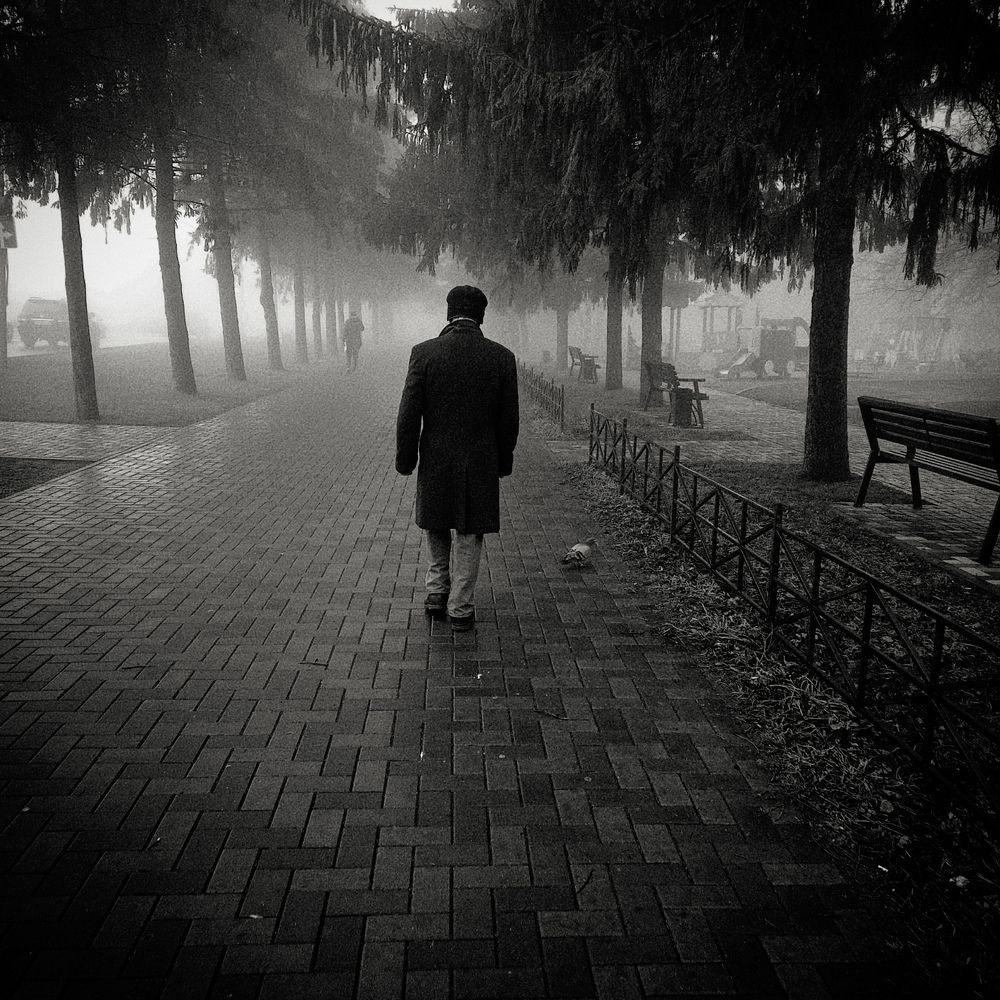 Photograph by D.V.S