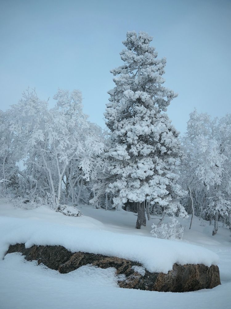 Photograph by Евгений Яковлев