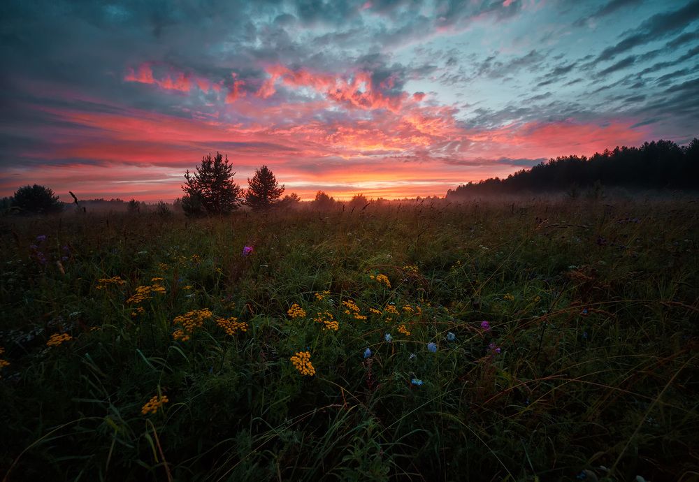 Photograph by Владимир Архипов