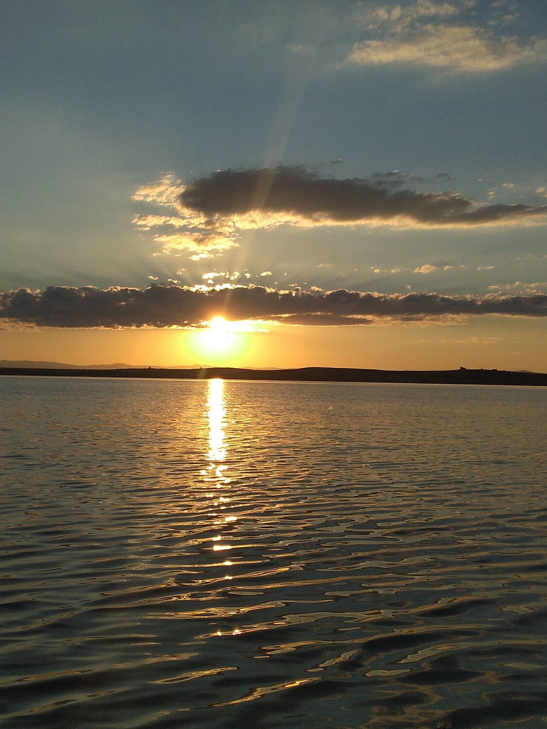 Photo #8478319