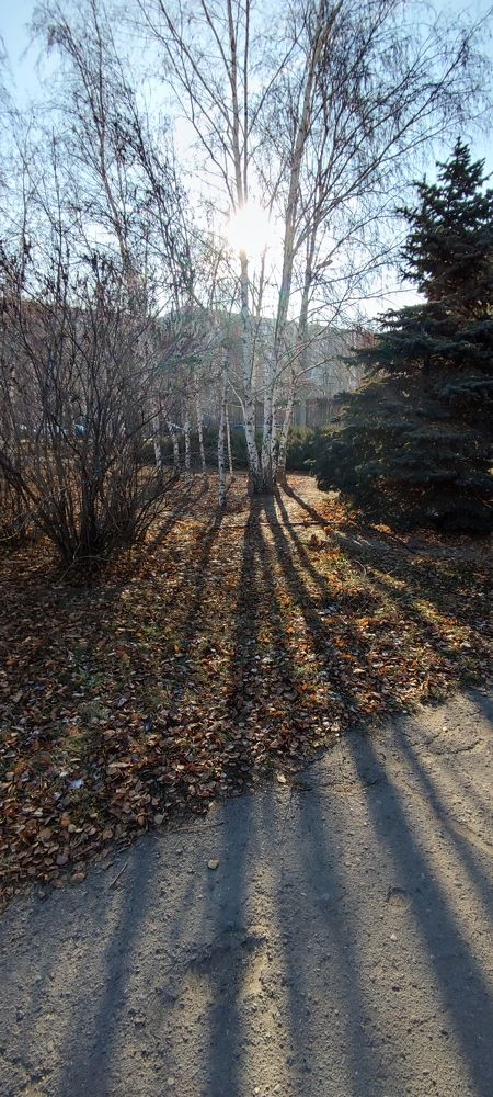 Photograph by Ирина Данилова