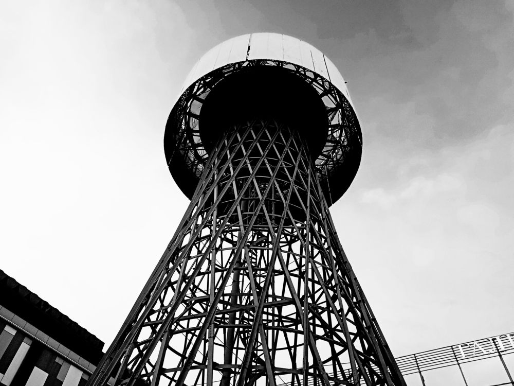 Photograph by D.V.S