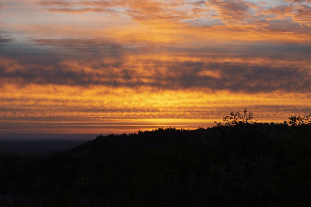 Фотография автора Ирина Зайцева