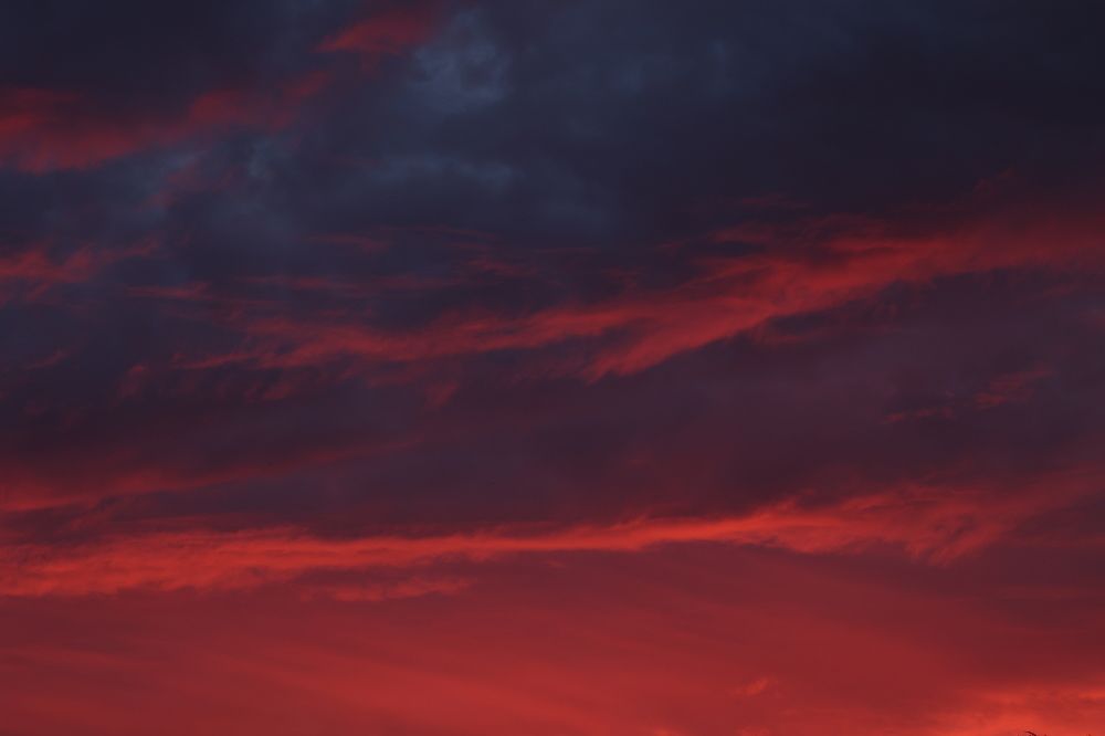 Photograph by Tatiana Serova