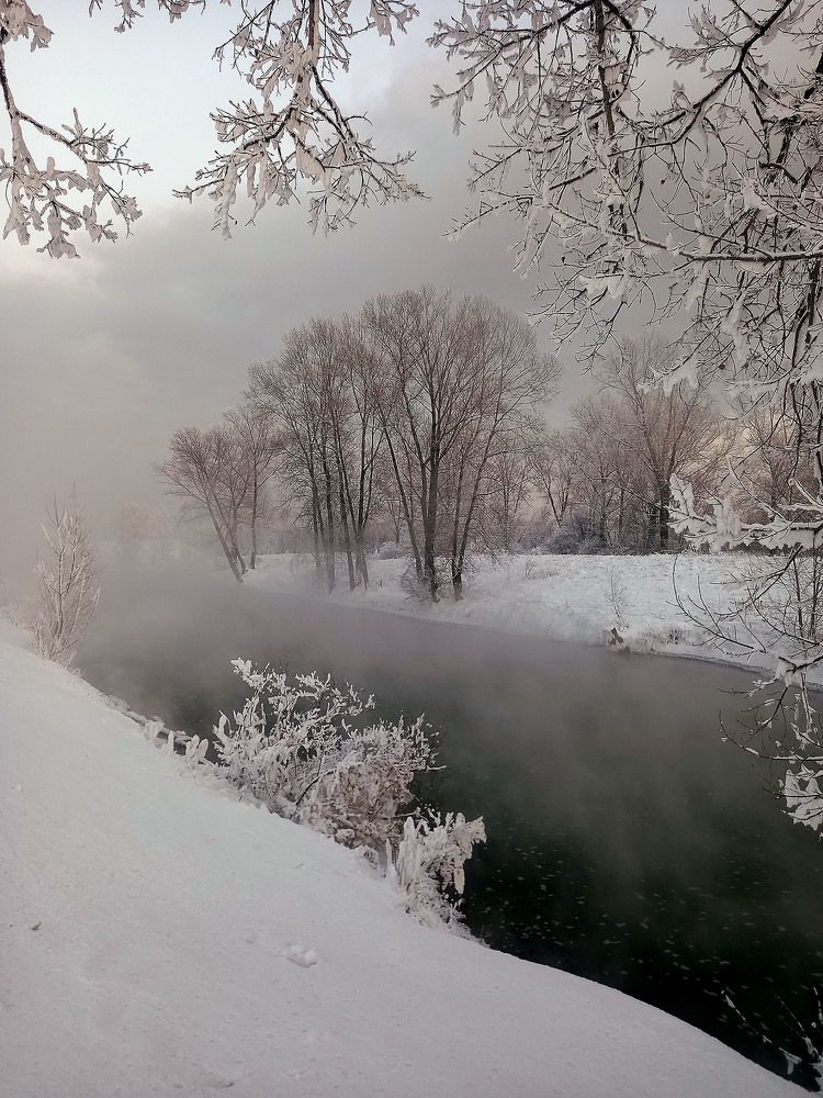 Фотография автора Любовь Харина