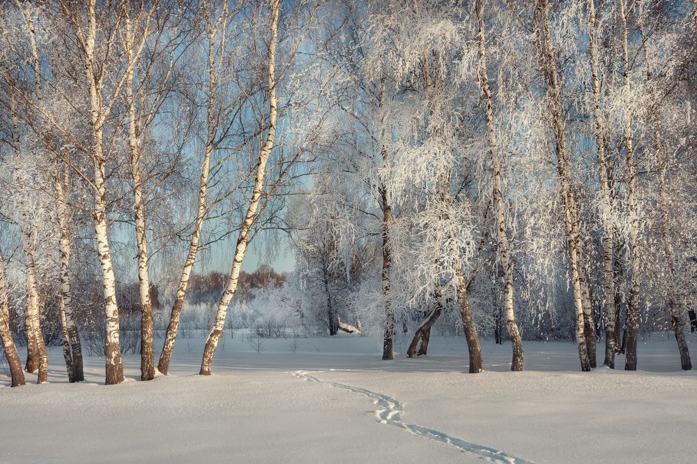 Photograph by Мозжухин Максим