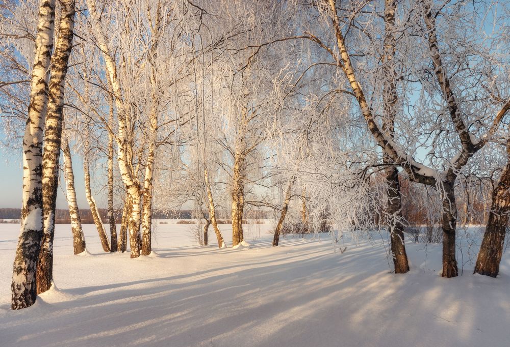 Photograph by Мозжухин Максим