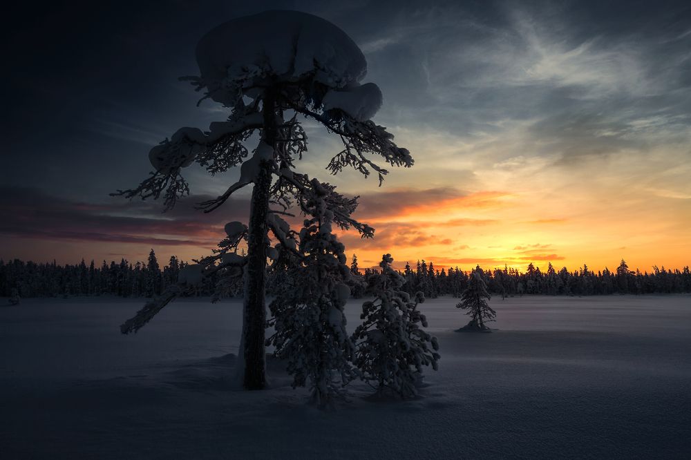 Photograph by Олег Семенкевич